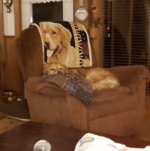 Meet your Posher, Nancy